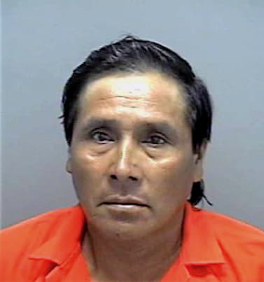 Sarat Jose - Lee County, FL 