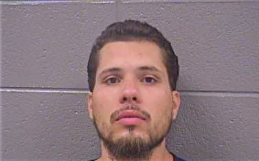 Blanco Ramon - Cook County, IL 