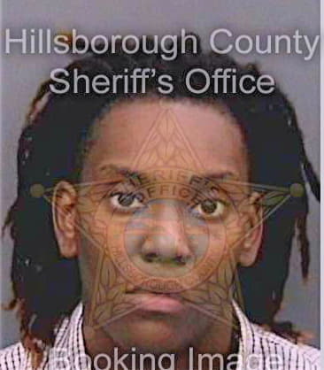 Simpson Alexis - Hillsborough County, FL 