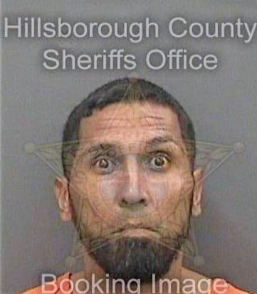 Santiagotorres Arnaldo - Hillsborough County, FL 