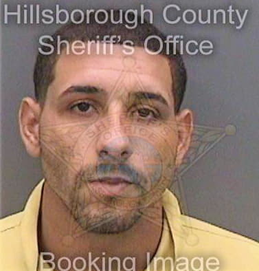 Perezgarcia Jose - Hillsborough County, FL 