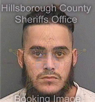 Cabrera Richard - Hillsborough County, FL 