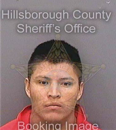 Vega Jesus - Hillsborough County, FL 