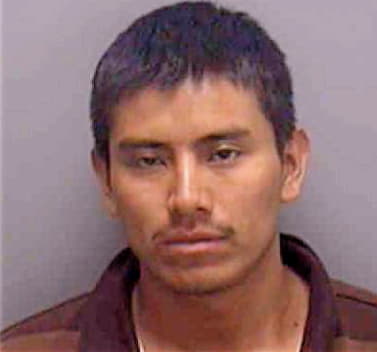 Hernandez Neftali - Lee County, FL 