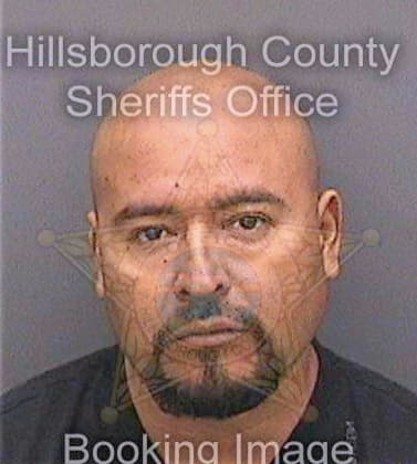 Castillo-Ochoa Saul - Hillsborough County, FL 