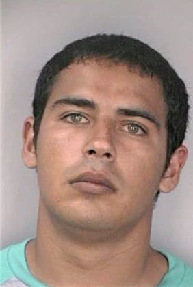 Silva Rolando - Hillsborough County, FL 