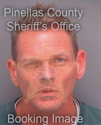 Borneman David - Pinellas County, FL 