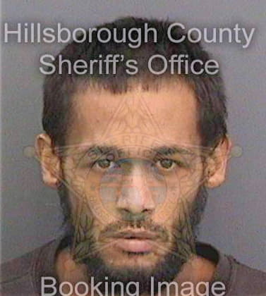 Borrero Alberto - Hillsborough County, FL 