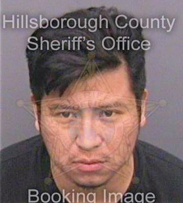 Juanmeneses Ladislao - Hillsborough County, FL 