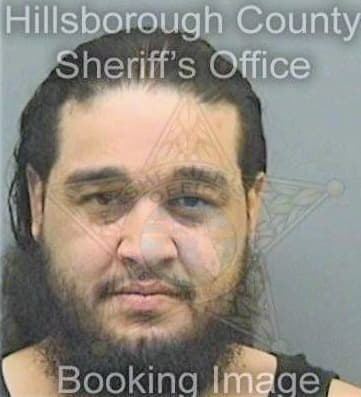 Hernandez Anicacio - Hillsborough County, FL 