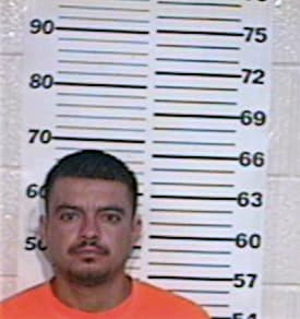 Gonzalez Marcelino - Hidalgo County, TX 