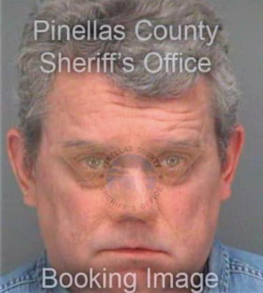 Brammer Steven - Pinellas County, FL 