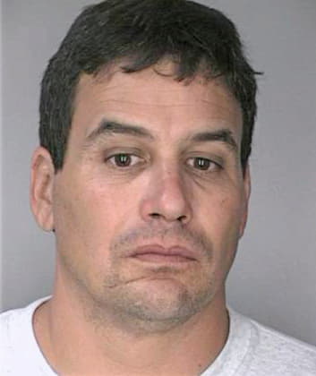 Melson Erik - Hillsborough County, FL 