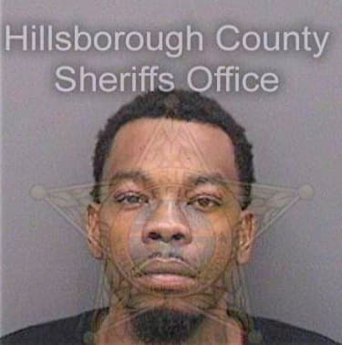 Stephens Maurice - Hillsborough County, FL 