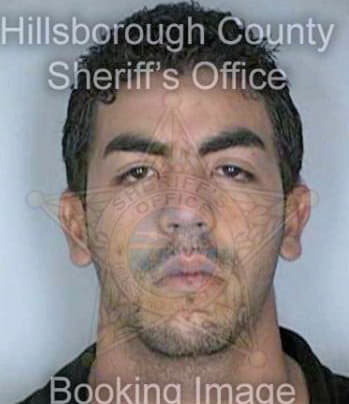 Villanuevarodriguez Carlos - Hillsborough County, FL 