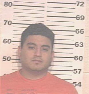 Trevino Jesse - Hidalgo County, TX 