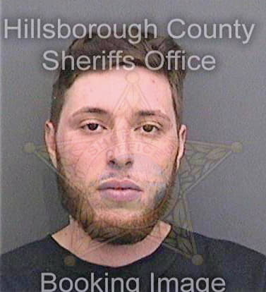 Santin Aron - Hillsborough County, FL 