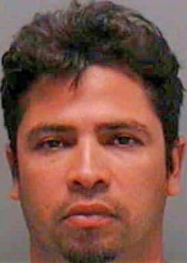 Seijas Luis - Lee County, FL 