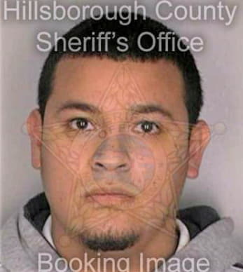 Ramirez Cesar - Hillsborough County, FL 