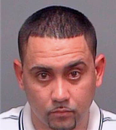 Gonzalez Rienaldo - Pinellas County, FL 