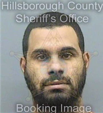 Marte Elcido - Hillsborough County, FL 