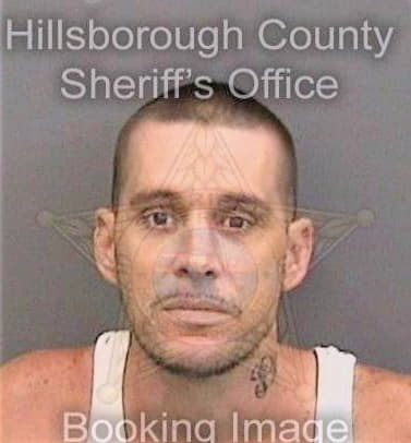 Prentice Steven - Hillsborough County, FL 