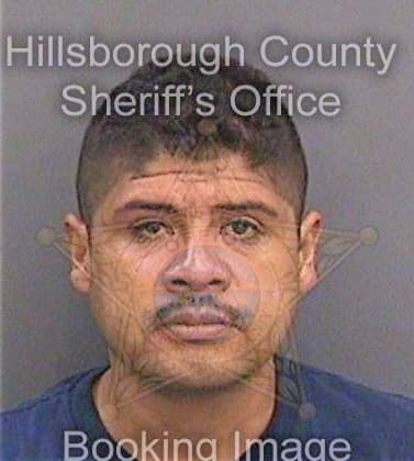 Reyesmontoya Victorino - Hillsborough County, FL 