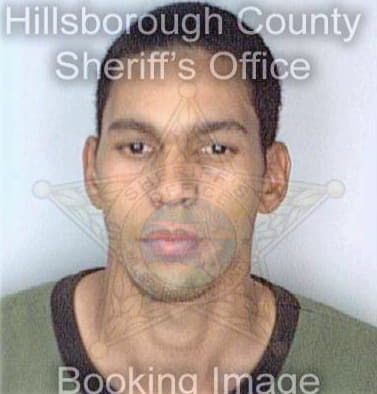 Gonzalez Francis - Hillsborough County, FL 