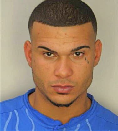 Egido Sergio - Hillsborough County, FL 