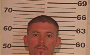 Hernandez Luis - Hidalgo County, TX 