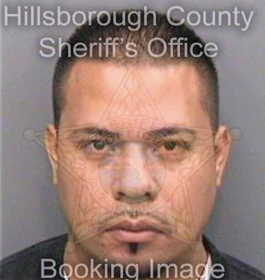 Gonzalez Alberto - Hillsborough County, FL 