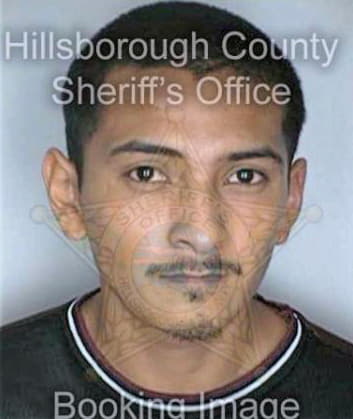 Perez Rafael - Hillsborough County, FL 