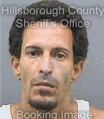 Cruz Daniel - Hillsborough County, FL 