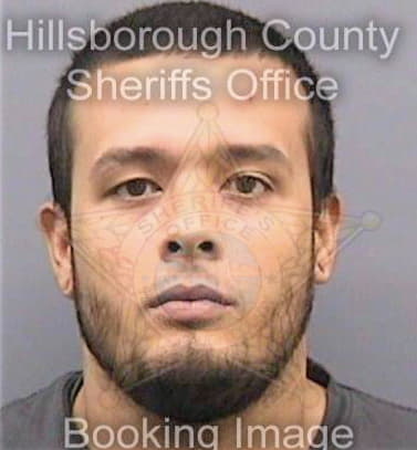 Marmolejo Matthew - Hillsborough County, FL 