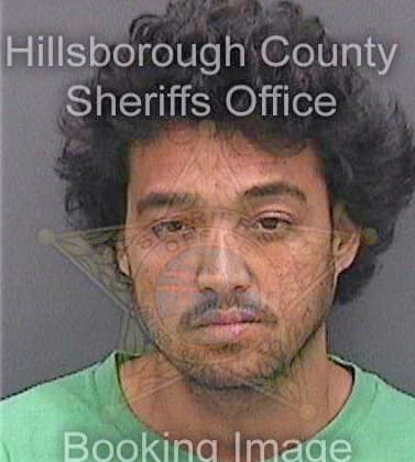 Leung Jason - Hillsborough County, FL 