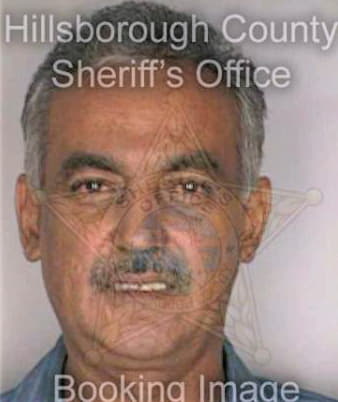 Gonzalez Nelson - Hillsborough County, FL 