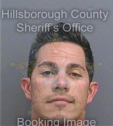 Perez Sergio - Hillsborough County, FL 