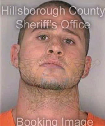 Skelly Eric - Hillsborough County, FL 