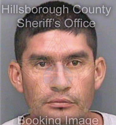 Lugoortiz Mauricio - Hillsborough County, FL 