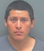 Sica Salvador - Lee County, FL 