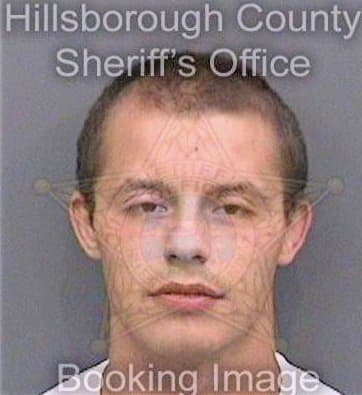 Dubovoy Phillip - Hillsborough County, FL 