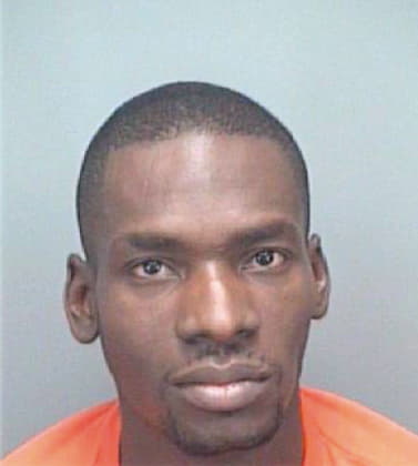 Robinson Lester - Pinellas County, FL 