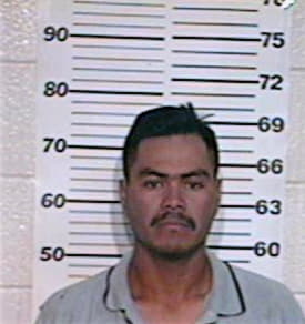 Mireles Gerardo - Hidalgo County, TX 