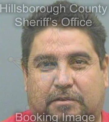 Ricomontalvo Sergio - Hillsborough County, FL 