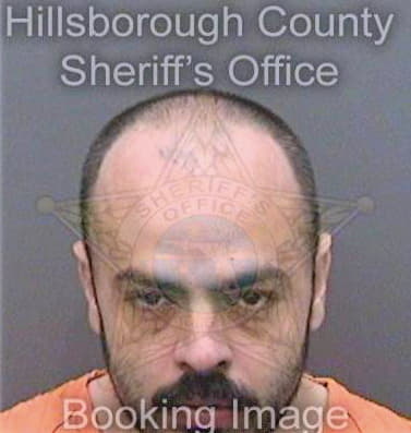 Delarosa Carlos - Hillsborough County, FL 