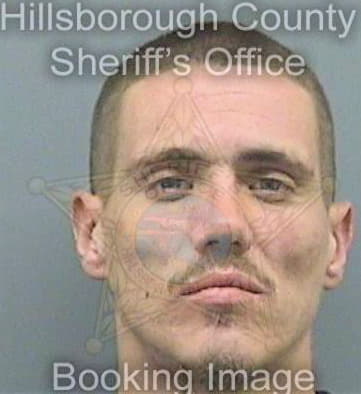 Sullivan Carlos - Hillsborough County, FL 