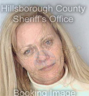 Mccormick Karen - Hillsborough County, FL 