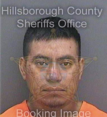 Godinezperez Rudy - Hillsborough County, FL 