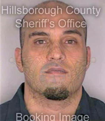 Dilella Paul - Hillsborough County, FL 