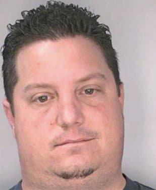 Mcdonald Sean - Hillsborough County, FL 